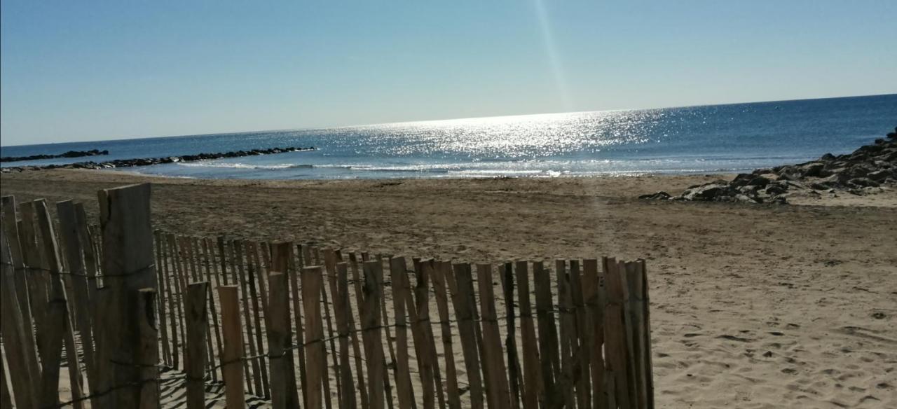 פרונטיניאן Studio Plage Anthemis מראה חיצוני תמונה